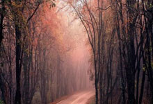 电动阀门蝶阀工作原理图片详解,电动蝶阀门价格