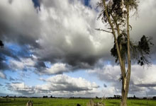 外螺纹截止阀价格及图片,外螺纹直接图片