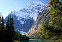 电动阀门蝶阀工作原理图片详解,电动蝶阀门价格